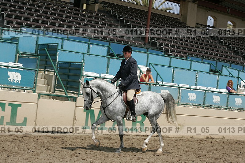 Proof Number r1_05__0113