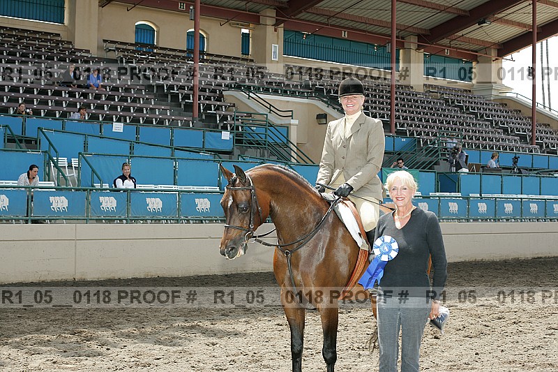 Proof Number r1_05__0118