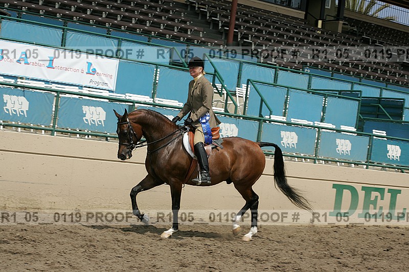 Proof Number r1_05__0119