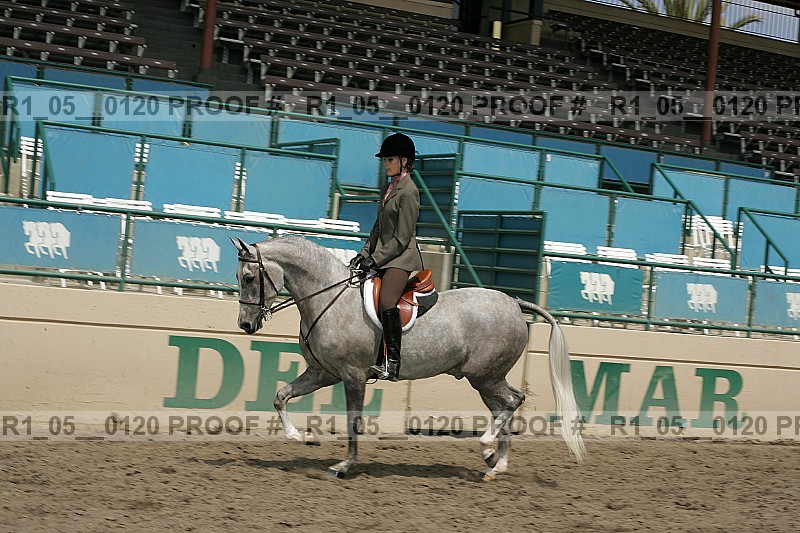Proof Number r1_05__0120