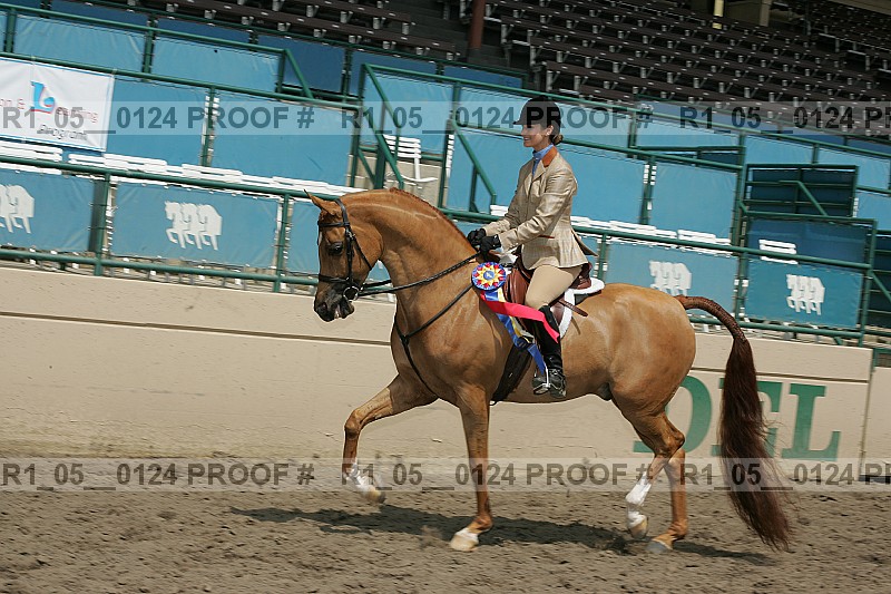 Proof Number r1_05__0124