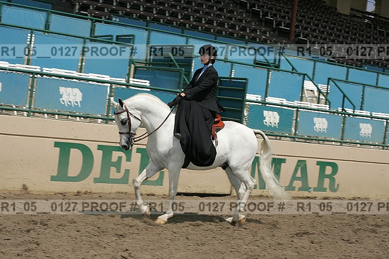 Proof Number r1_05__0127