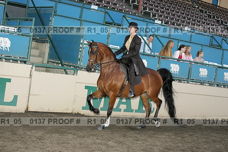 Proof Number r1_05__0137