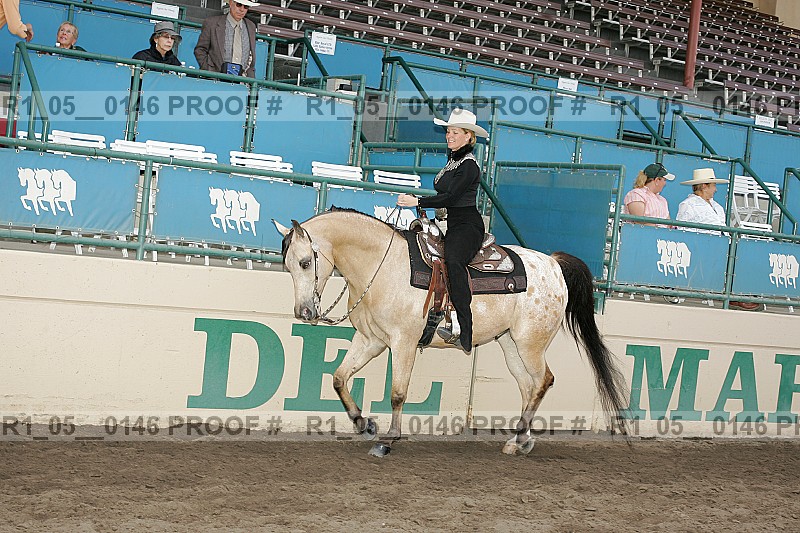 Proof Number r1_05__0146