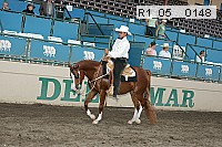 Proof Number r1_05__0148