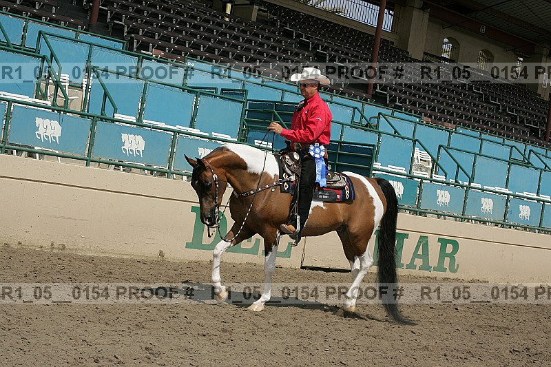 Proof Number r1_05__0154
