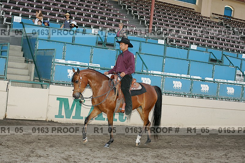 Proof Number r1_05__0163