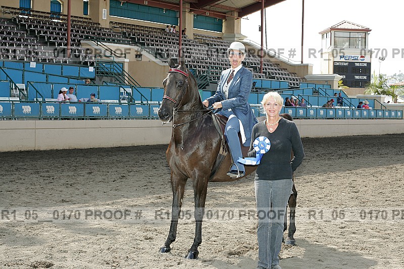 Proof Number r1_05__0170