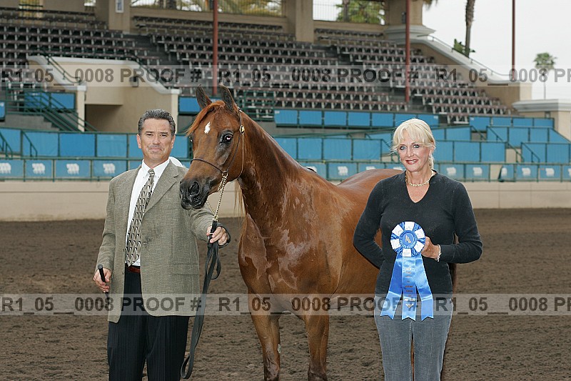 Proof Number r1_05__0008