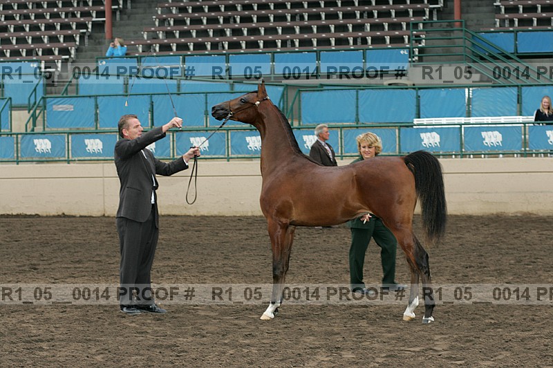 Proof Number r1_05__0014