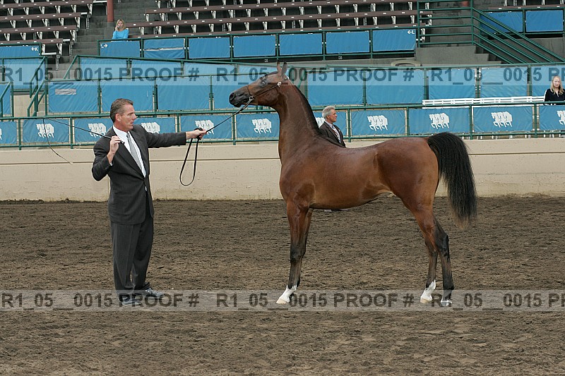 Proof Number r1_05__0015