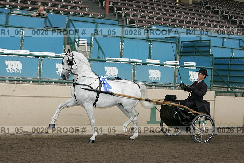 Proof Number r1_05__0026