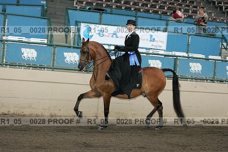 Proof Number r1_05__0028