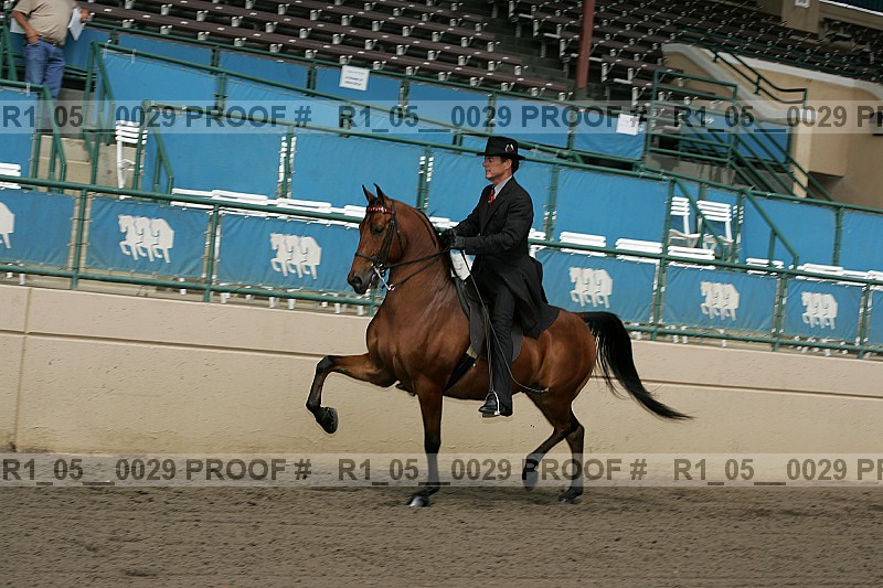Proof Number r1_05__0029