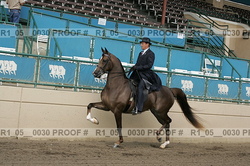 Proof Number r1_05__0030