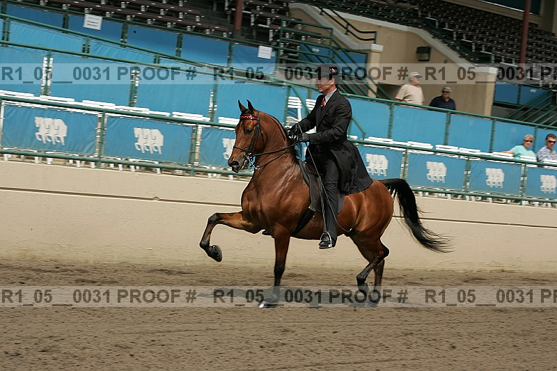 Proof Number r1_05__0031