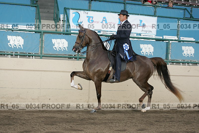 Proof Number r1_05__0034