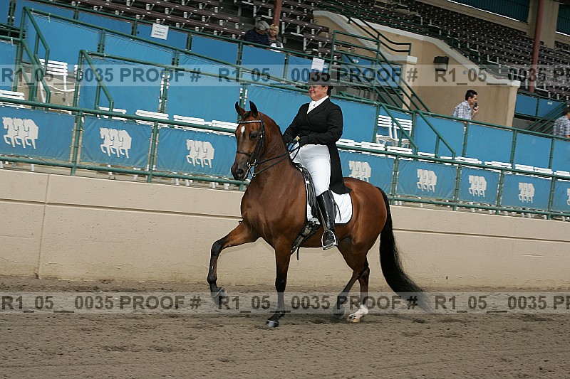 Proof Number r1_05__0035