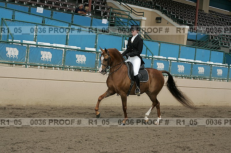 Proof Number r1_05__0036