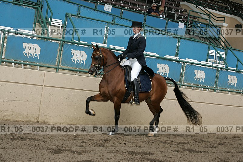 Proof Number r1_05__0037