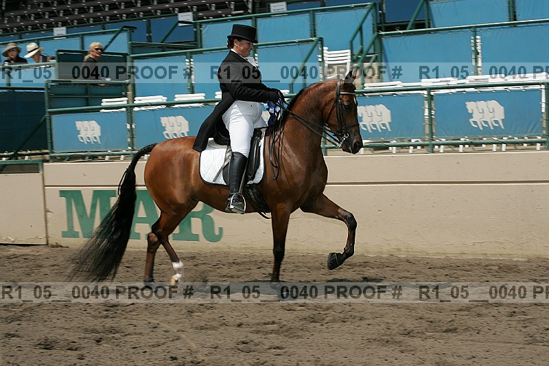 Proof Number r1_05__0040