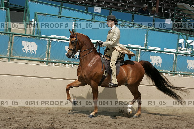 Proof Number r1_05__0041