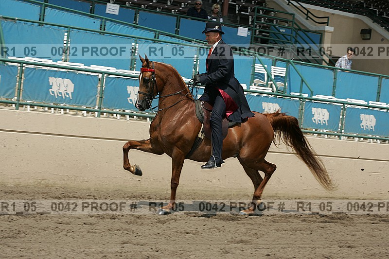 Proof Number r1_05__0042