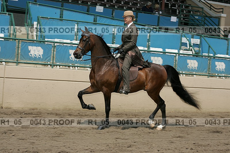 Proof Number r1_05__0043