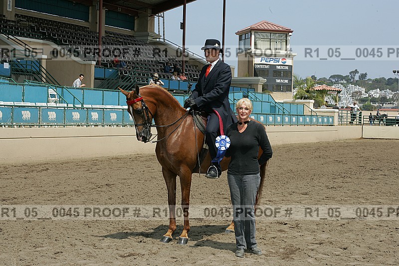 Proof Number r1_05__0045