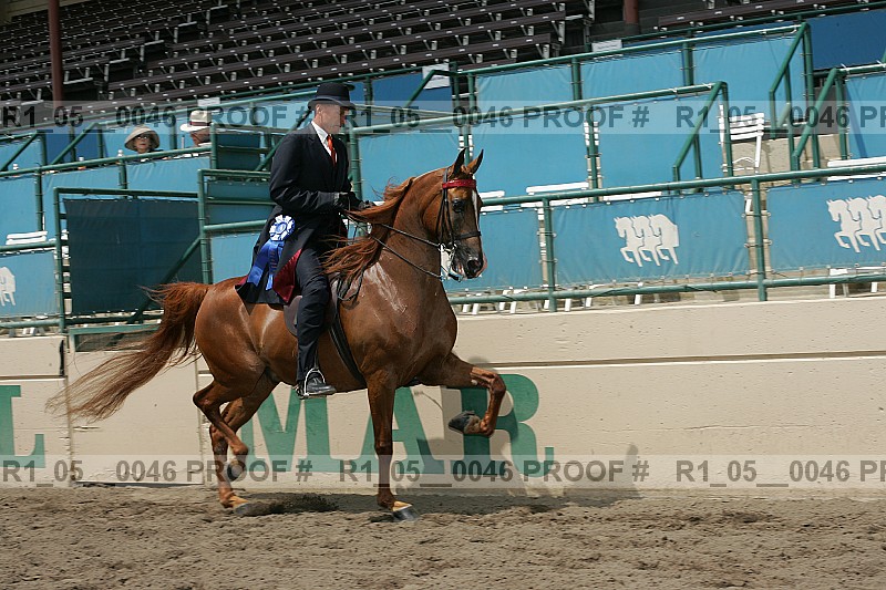 Proof Number r1_05__0046