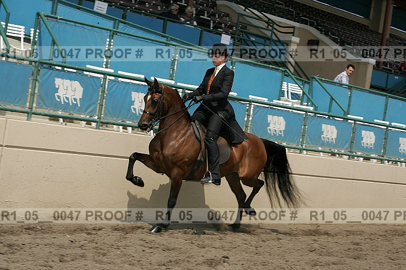 Proof Number r1_05__0047