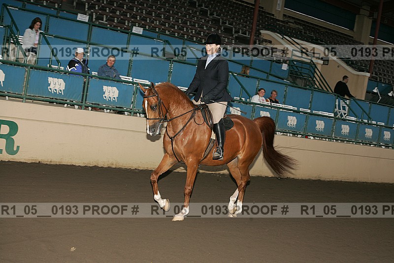 Proof Number r1_05__0193