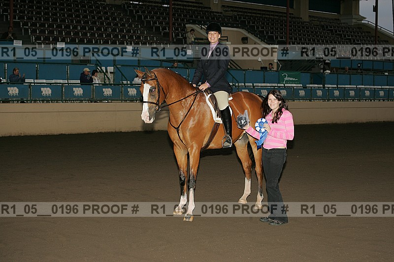 Proof Number r1_05__0196