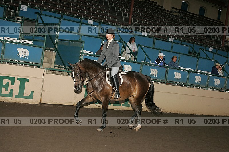 Proof Number r1_05__0203
