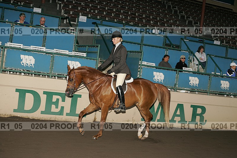 Proof Number r1_05__0204
