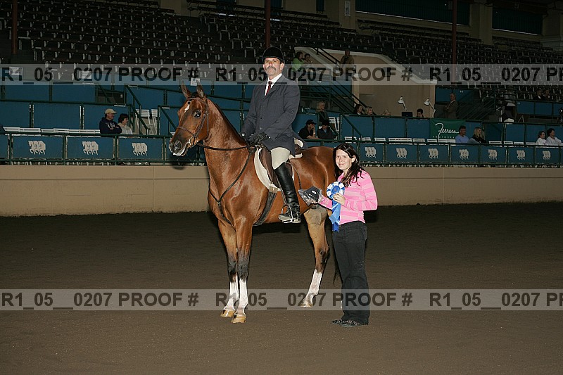 Proof Number r1_05__0207