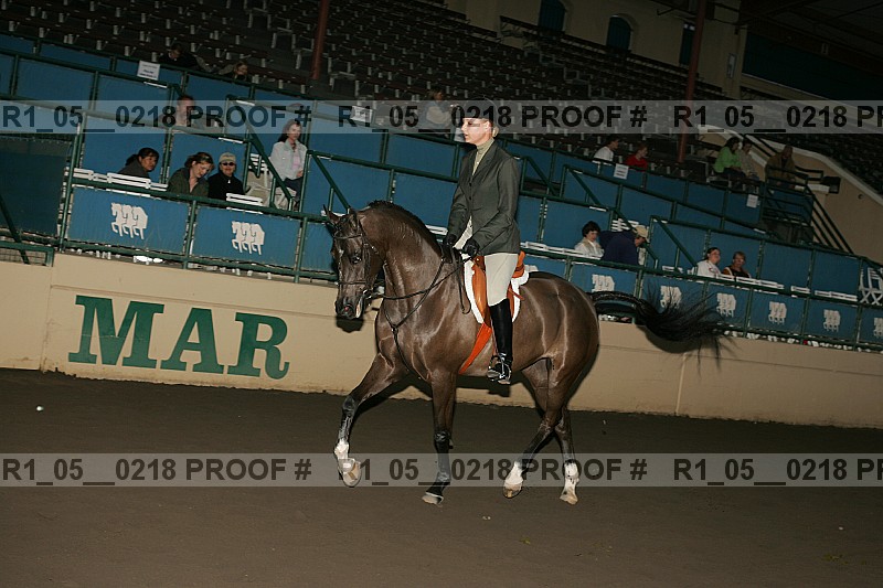 Proof Number r1_05__0218