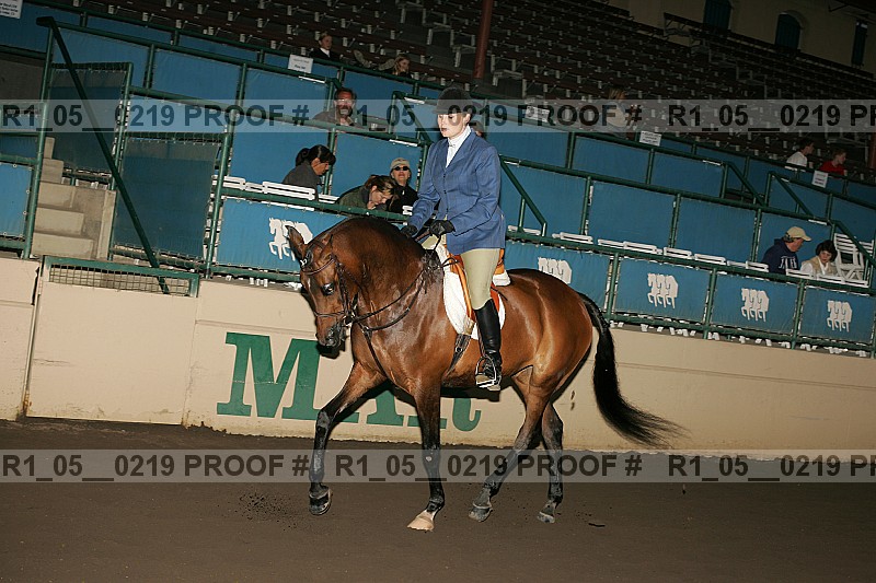 Proof Number r1_05__0219