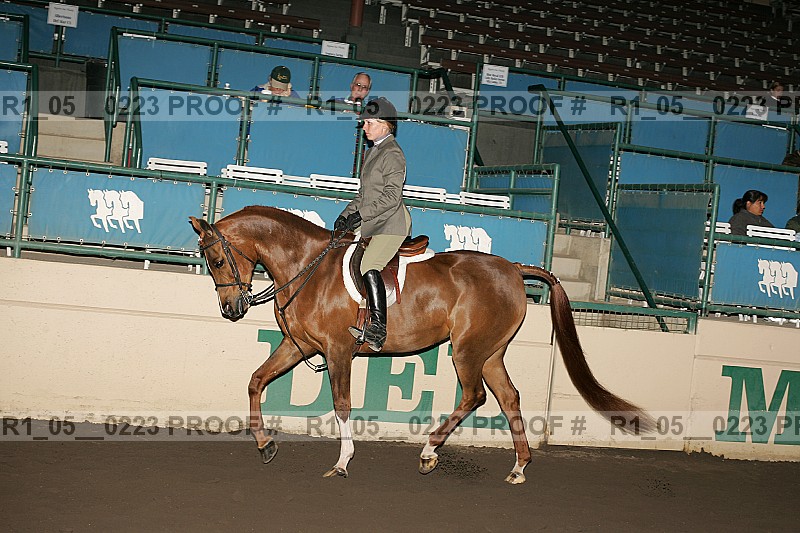 Proof Number r1_05__0223