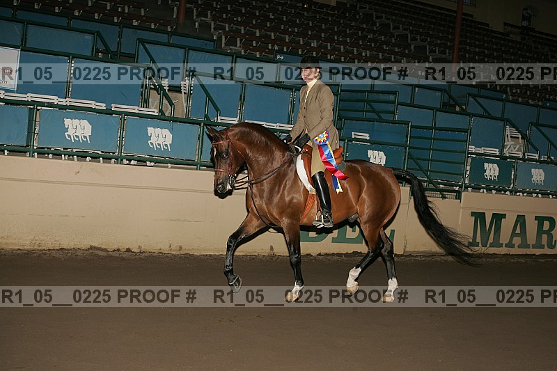 Proof Number r1_05__0225