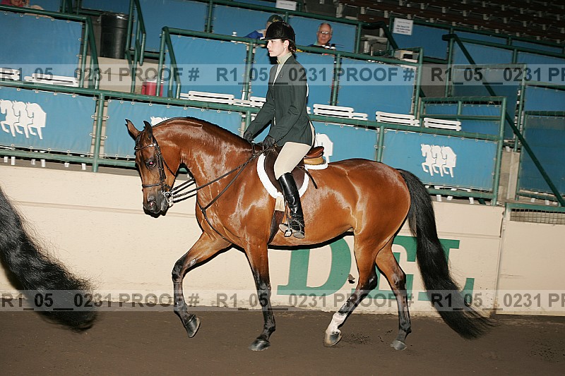 Proof Number r1_05__0231