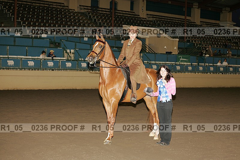 Proof Number r1_05__0236
