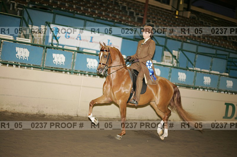 Proof Number r1_05__0237