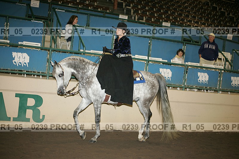 Proof Number r1_05__0239