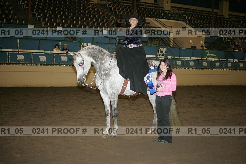 Proof Number r1_05__0241
