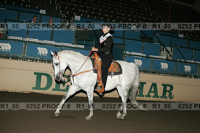 Proof Number r1_05__0252