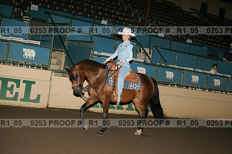 Proof Number r1_05__0253