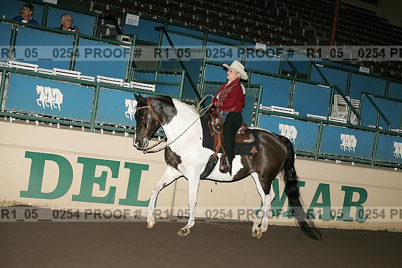 Proof Number r1_05__0254