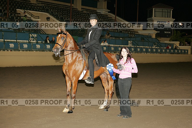 Proof Number r1_05__0258