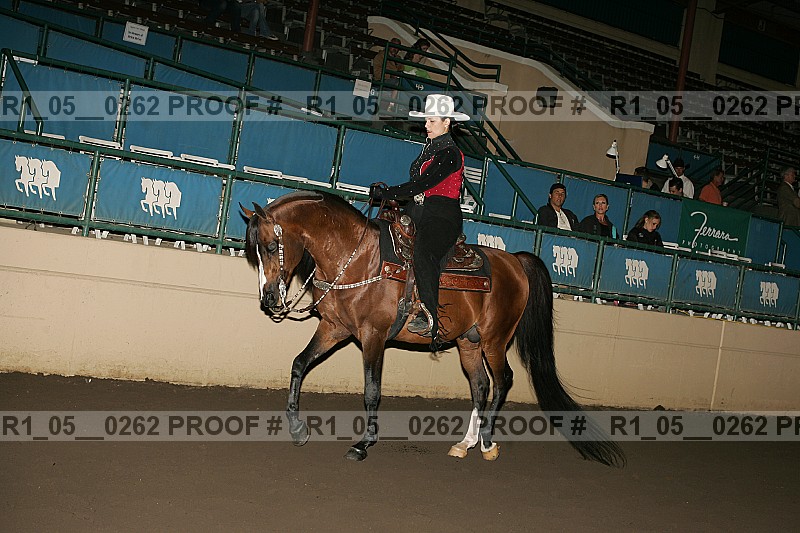 Proof Number r1_05__0262